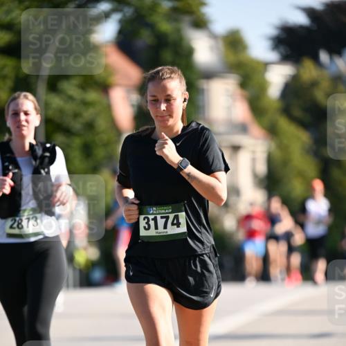 01.09.2024 - BARMER Alsterlauf Dr. Thomas Lammeyer http://msf.ph/oto/6916087 01.09.2024 09:48:42 Laufen 2873, 35, 3174 meine-sportfotos.de