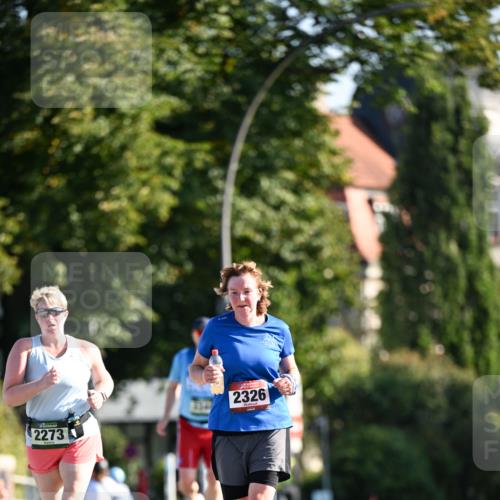 01.09.2024 - BARMER Alsterlauf Dr. Thomas Lammeyer http://msf.ph/oto/6916134 01.09.2024 09:48:44 Laufen 2273, 2326 meine-sportfotos.de