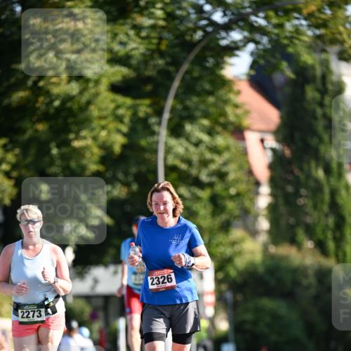 01.09.2024 - BARMER Alsterlauf Dr. Thomas Lammeyer http://msf.ph/oto/6916141 01.09.2024 09:48:44 Laufen 2273, 2326 meine-sportfotos.de