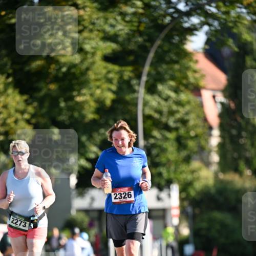 01.09.2024 - BARMER Alsterlauf Dr. Thomas Lammeyer http://msf.ph/oto/6916157 01.09.2024 09:48:45 Laufen 2273, 2326 meine-sportfotos.de