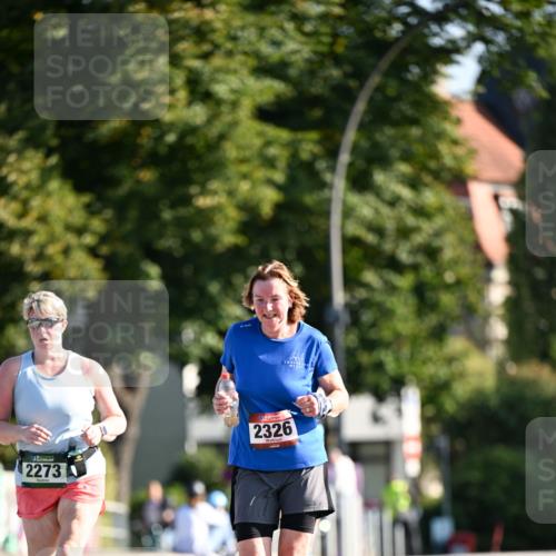 01.09.2024 - BARMER Alsterlauf Dr. Thomas Lammeyer http://msf.ph/oto/6916166 01.09.2024 09:48:45 Laufen 2273, 2326 meine-sportfotos.de