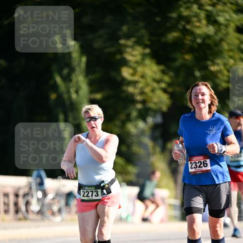 01.09.2024 - BARMER Alsterlauf Dr. Thomas Lammeyer http://msf.ph/oto/6916193 01.09.2024 09:48:46 Laufen 2273, 2326, 228, 10 meine-sportfotos.de