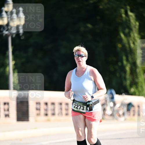 01.09.2024 - BARMER Alsterlauf Dr. Thomas Lammeyer http://msf.ph/oto/6916226 01.09.2024 09:48:47 Laufen 828, 2273 meine-sportfotos.de