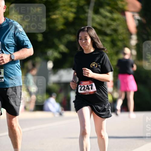 01.09.2024 - BARMER Alsterlauf Dr. Thomas Lammeyer http://msf.ph/oto/6916972 01.09.2024 09:49:15 Laufen 45, 2247 meine-sportfotos.de