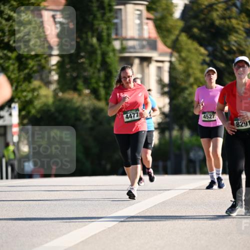 01.09.2024 - BARMER Alsterlauf Dr. Thomas Lammeyer http://msf.ph/oto/6917183 01.09.2024 09:49:35 Laufen 4477, 4527, 8291 meine-sportfotos.de