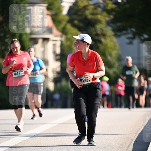01.09.2024 - BARMER Alsterlauf Dr. Thomas Lammeyer http://msf.ph/oto/6917204 01.09.2024 09:49:36 Laufen 4477, 825 meine-sportfotos.de