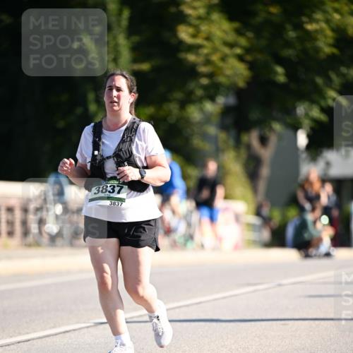 01.09.2024 - BARMER Alsterlauf Dr. Thomas Lammeyer http://msf.ph/oto/6917215 01.09.2024 09:49:38 Laufen 3837, 3837 meine-sportfotos.de