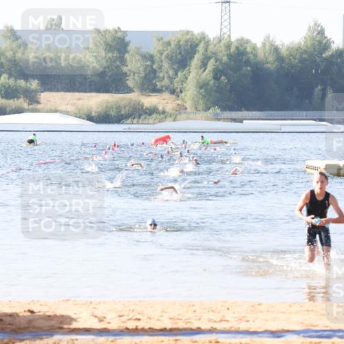 01.09.2024 - 17. Tribühne Triathlon Luisa Fischer http://msf.ph/oto/6921822 01.09.2024 09:28:29 Schwimmen 117 meine-sportfotos.de