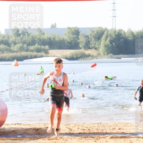01.09.2024 - 17. Tribühne Triathlon Luisa Fischer http://msf.ph/oto/6922655 01.09.2024 09:31:45 Schwimmen 91, 116, 121 meine-sportfotos.de