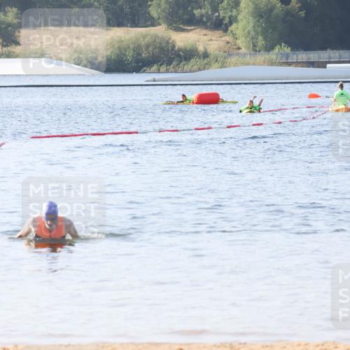 01.09.2024 - 17. Tribühne Triathlon Luisa Fischer http://msf.ph/oto/6923934 01.09.2024 10:10:09 Schwimmen  meine-sportfotos.de