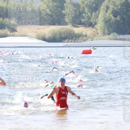 01.09.2024 - 17. Tribühne Triathlon Luisa Fischer http://msf.ph/oto/6924097 01.09.2024 10:22:03 Schwimmen 181, 255, 264, 266, 268 meine-sportfotos.de