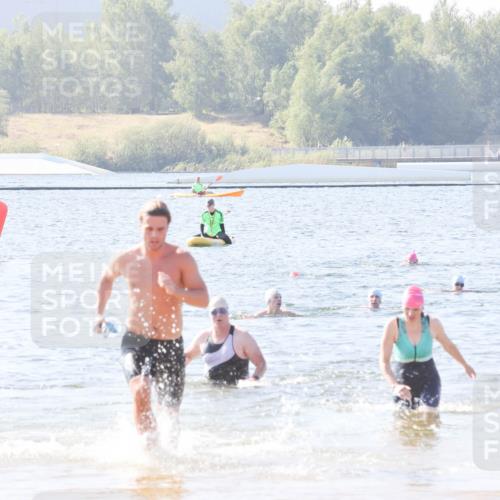 01.09.2024 - 17. Tribühne Triathlon Luisa Fischer http://msf.ph/oto/6926583 01.09.2024 10:58:44 Schwimmen 60, 420 meine-sportfotos.de