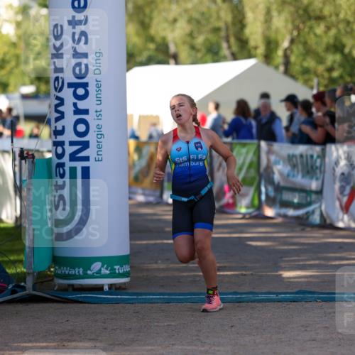 01.09.2024 - 17. Tribühne Triathlon Michael Strokosch http://msf.ph/oto/6930809 01.09.2024 09:47:30 Ziel 132 meine-sportfotos.de