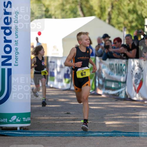 01.09.2024 - 17. Tribühne Triathlon Michael Strokosch http://msf.ph/oto/6930823 01.09.2024 09:47:39 Ziel 67, 89, 90, 106, 119 meine-sportfotos.de