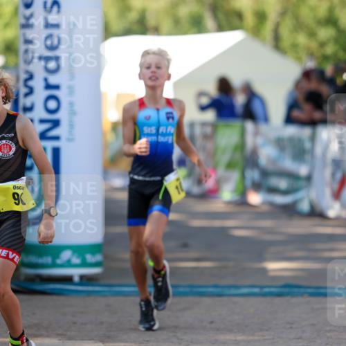 01.09.2024 - 17. Tribühne Triathlon Michael Strokosch http://msf.ph/oto/6930845 01.09.2024 09:47:43 Ziel 67, 71, 89, 90, 106, 119, 131 meine-sportfotos.de