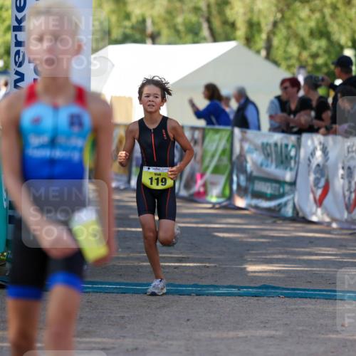 01.09.2024 - 17. Tribühne Triathlon Michael Strokosch http://msf.ph/oto/6930861 01.09.2024 09:47:46 Ziel 66, 71, 89, 106, 119, 131 meine-sportfotos.de