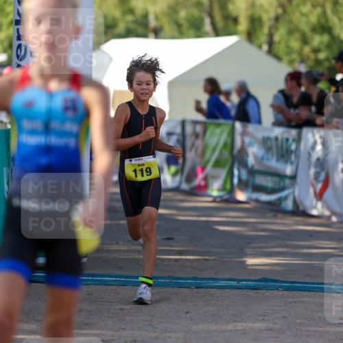 01.09.2024 - 17. Tribühne Triathlon Michael Strokosch http://msf.ph/oto/6930862 01.09.2024 09:47:46 Ziel 66, 71, 89, 106, 119, 131 meine-sportfotos.de
