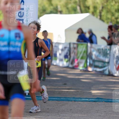 01.09.2024 - 17. Tribühne Triathlon Michael Strokosch http://msf.ph/oto/6930866 01.09.2024 09:47:46 Ziel 66, 71, 89, 106, 119, 131 meine-sportfotos.de