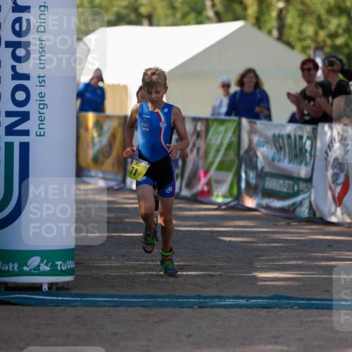 01.09.2024 - 17. Tribühne Triathlon Michael Strokosch http://msf.ph/oto/6930870 01.09.2024 09:47:47 Ziel 66, 71, 106, 119, 131 meine-sportfotos.de