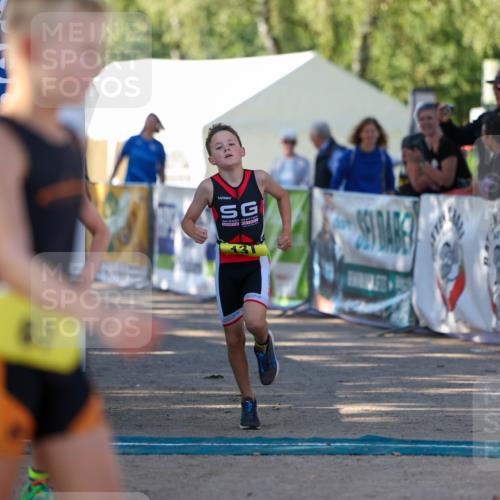 01.09.2024 - 17. Tribühne Triathlon Michael Strokosch http://msf.ph/oto/6930877 01.09.2024 09:47:49 Ziel 66, 71, 119, 131 meine-sportfotos.de