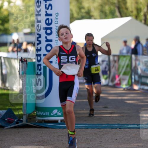 01.09.2024 - 17. Tribühne Triathlon Michael Strokosch http://msf.ph/oto/6930881 01.09.2024 09:47:50 Ziel 66, 71, 119, 131 meine-sportfotos.de