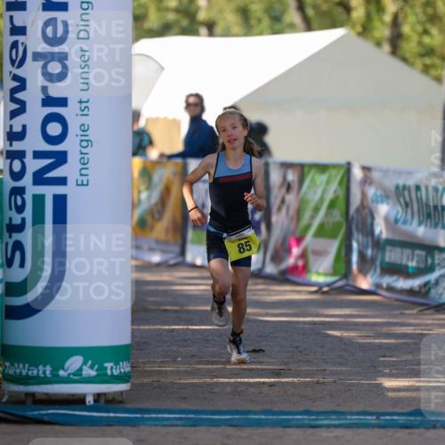 01.09.2024 - 17. Tribühne Triathlon Michael Strokosch http://msf.ph/oto/6930916 01.09.2024 09:48:57 Ziel 85, 134 meine-sportfotos.de