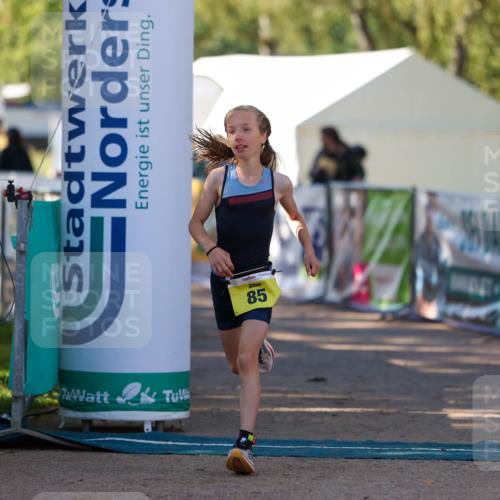 01.09.2024 - 17. Tribühne Triathlon Michael Strokosch http://msf.ph/oto/6930924 01.09.2024 09:48:58 Ziel 85, 134 meine-sportfotos.de