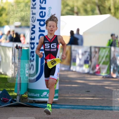 01.09.2024 - 17. Tribühne Triathlon Michael Strokosch http://msf.ph/oto/6930932 01.09.2024 09:49:11 Ziel 88, 133 meine-sportfotos.de