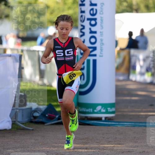 01.09.2024 - 17. Tribühne Triathlon Michael Strokosch http://msf.ph/oto/6930936 01.09.2024 09:49:12 Ziel 88, 133 meine-sportfotos.de
