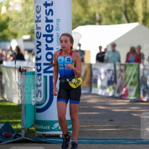 01.09.2024 - 17. Tribühne Triathlon Michael Strokosch http://msf.ph/oto/6931068 01.09.2024 09:49:53 Ziel 83, 103, 136 meine-sportfotos.de