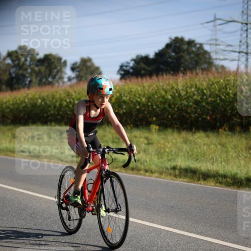 01.09.2024 - 17. Tribühne Triathlon H.Heesch http://msf.ph/oto/6937370 01.09.2024 09:40:15 Radfahren 65, 68, 85, 97, 127, 133 meine-sportfotos.de