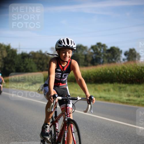 01.09.2024 - 17. Tribühne Triathlon H.Heesch http://msf.ph/oto/6937903 01.09.2024 09:41:31 Radfahren 63, 80, 81, 87, 110, 112, 123 meine-sportfotos.de