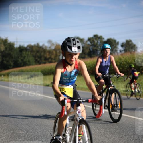 01.09.2024 - 17. Tribühne Triathlon H.Heesch http://msf.ph/oto/6937931 01.09.2024 09:41:35 Radfahren 81, 87, 125, 129 meine-sportfotos.de