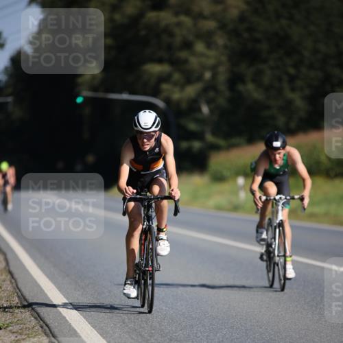 01.09.2024 - 17. Tribühne Triathlon H.Heesch http://msf.ph/oto/6940994 01.09.2024 10:42:32 Radfahren 205, 247, 251, 253 meine-sportfotos.de
