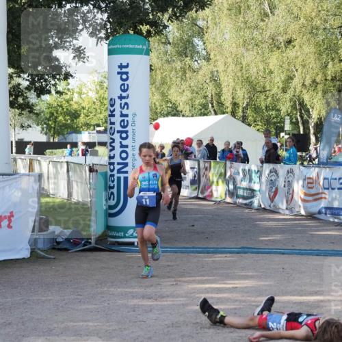 01.09.2024 - 17. Tribühne Triathlon Michael Strokosch http://msf.ph/oto/6941402 01.09.2024 09:13:13 Ziel 7, 10, 11 meine-sportfotos.de