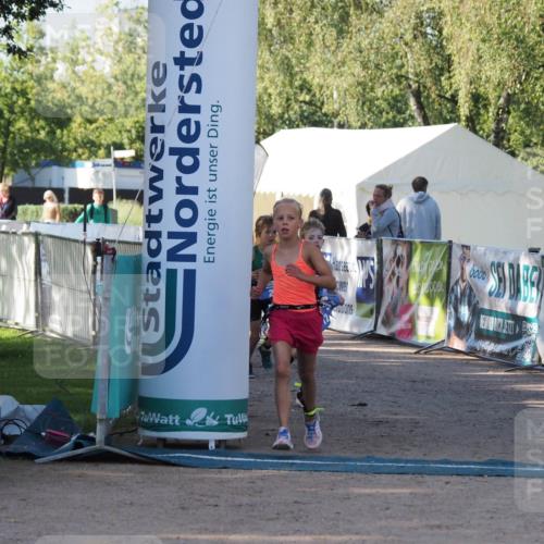 01.09.2024 - 17. Tribühne Triathlon Michael Strokosch http://msf.ph/oto/6941532 01.09.2024 09:15:11 Ziel 2, 12, 19, 37 meine-sportfotos.de