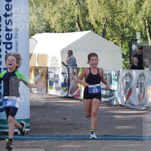01.09.2024 - 17. Tribühne Triathlon Michael Strokosch http://msf.ph/oto/6941594 01.09.2024 09:15:56 Ziel 23, 36, 54 meine-sportfotos.de