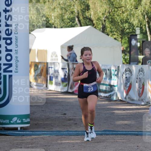 01.09.2024 - 17. Tribühne Triathlon Michael Strokosch http://msf.ph/oto/6941595 01.09.2024 09:15:57 Ziel 23, 36, 54 meine-sportfotos.de