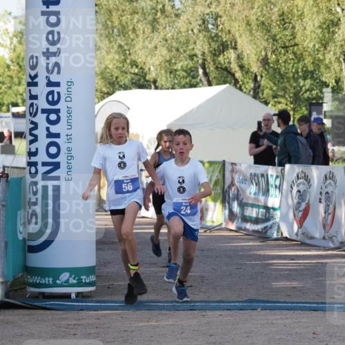 01.09.2024 - 17. Tribühne Triathlon Michael Strokosch http://msf.ph/oto/6941620 01.09.2024 09:16:32 Ziel 22, 24, 47, 56 meine-sportfotos.de