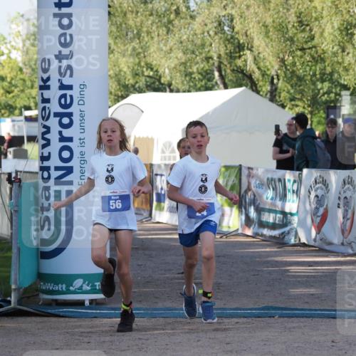 01.09.2024 - 17. Tribühne Triathlon Michael Strokosch http://msf.ph/oto/6941622 01.09.2024 09:16:32 Ziel 22, 24, 47, 56 meine-sportfotos.de