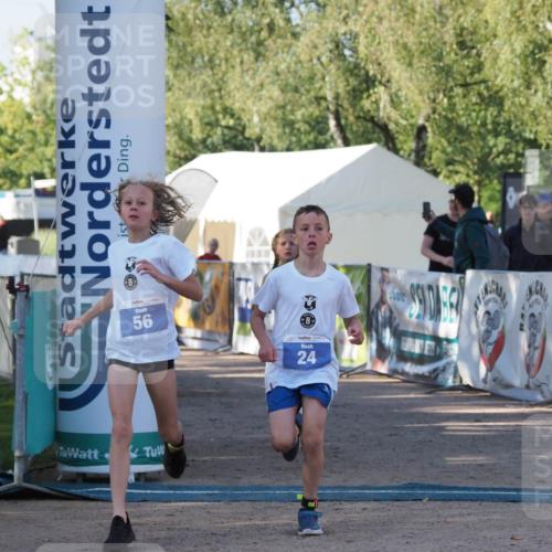 01.09.2024 - 17. Tribühne Triathlon Michael Strokosch http://msf.ph/oto/6941623 01.09.2024 09:16:32 Ziel 22, 24, 47, 56 meine-sportfotos.de