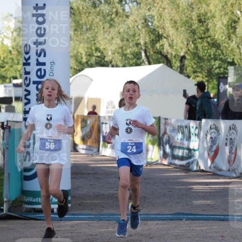 01.09.2024 - 17. Tribühne Triathlon Michael Strokosch http://msf.ph/oto/6941624 01.09.2024 09:16:32 Ziel 22, 24, 47, 56 meine-sportfotos.de