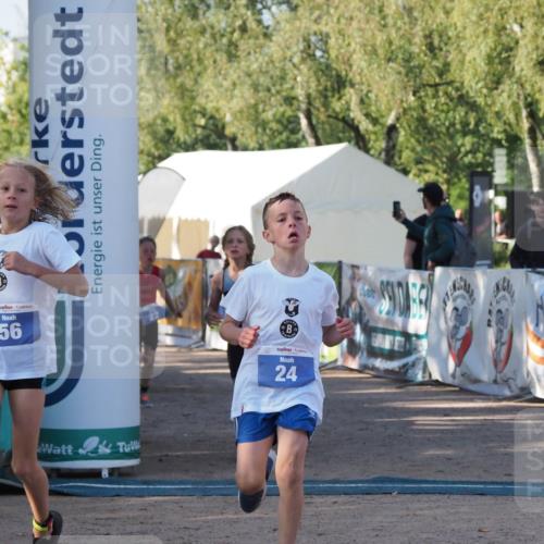 01.09.2024 - 17. Tribühne Triathlon Michael Strokosch http://msf.ph/oto/6941626 01.09.2024 09:16:33 Ziel 22, 24, 47, 56 meine-sportfotos.de