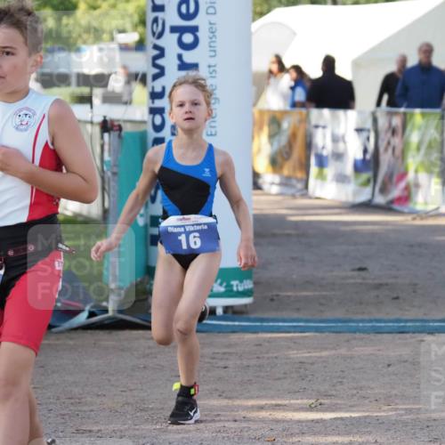 01.09.2024 - 17. Tribühne Triathlon Michael Strokosch http://msf.ph/oto/6941672 01.09.2024 09:17:23 Ziel 16, 26 meine-sportfotos.de