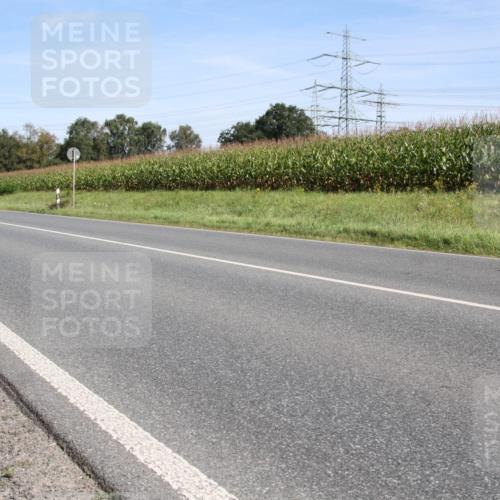 01.09.2024 - 17. Tribühne Triathlon H.Heesch http://msf.ph/oto/6943406 01.09.2024 11:31:52 Radfahren 367, 492, 547, 556 meine-sportfotos.de