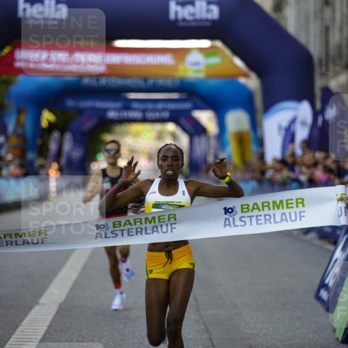 01.09.2024 - BARMER Alsterlauf Kathrin Stürmer Photography http://msf.ph/oto/6969458 01.09.2024 09:31:30 Ziel 2492, 2626, 2951, 3481, 4168, 4450, 4458, 4675, 4834, 5274, 8217, 4, 12, 16, 21, 8078 meine-sportfotos.de