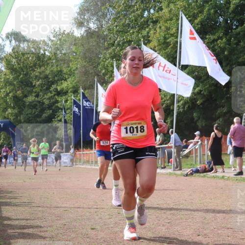 08.09.2024 - Airport Race Strokosch-Dieckow http://msf.ph/oto/6978389 08.09.2024 12:39:15 Ziel 261, 511, 573, 574, 743, 758, 916, 1018, 1441, 1524 meine-sportfotos.de