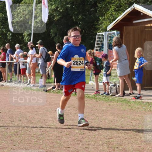 08.09.2024 - Airport Race Strokosch-Dieckow http://msf.ph/oto/6979077 08.09.2024 12:12:26 Ziel 2597, 2724, 2824, 2834, 3106 meine-sportfotos.de