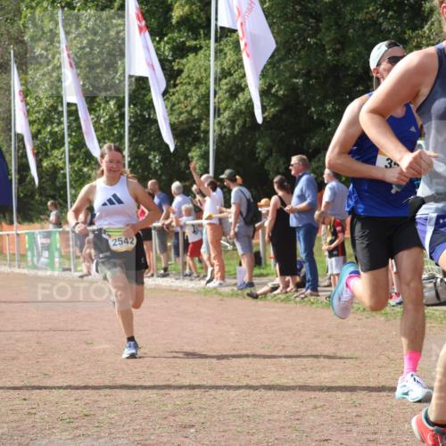 08.09.2024 - Airport Race Strokosch-Dieckow http://msf.ph/oto/6979247 08.09.2024 12:12:44 Ziel 350, 387, 2516, 2542, 2653, 2661 meine-sportfotos.de