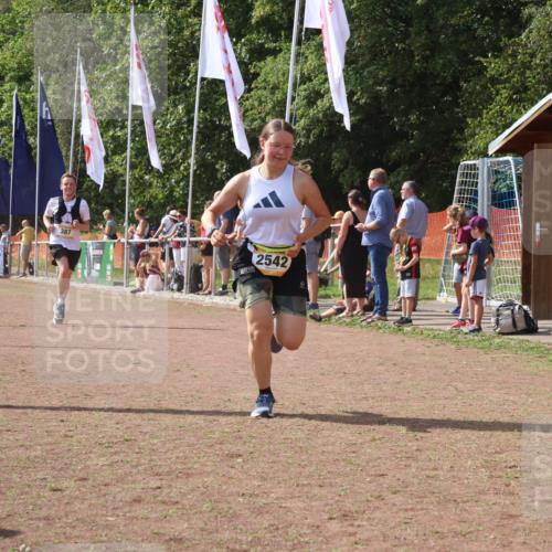 08.09.2024 - Airport Race Strokosch-Dieckow http://msf.ph/oto/6979258 08.09.2024 12:12:44 Ziel 350, 387, 2516, 2542, 2653, 2661 meine-sportfotos.de